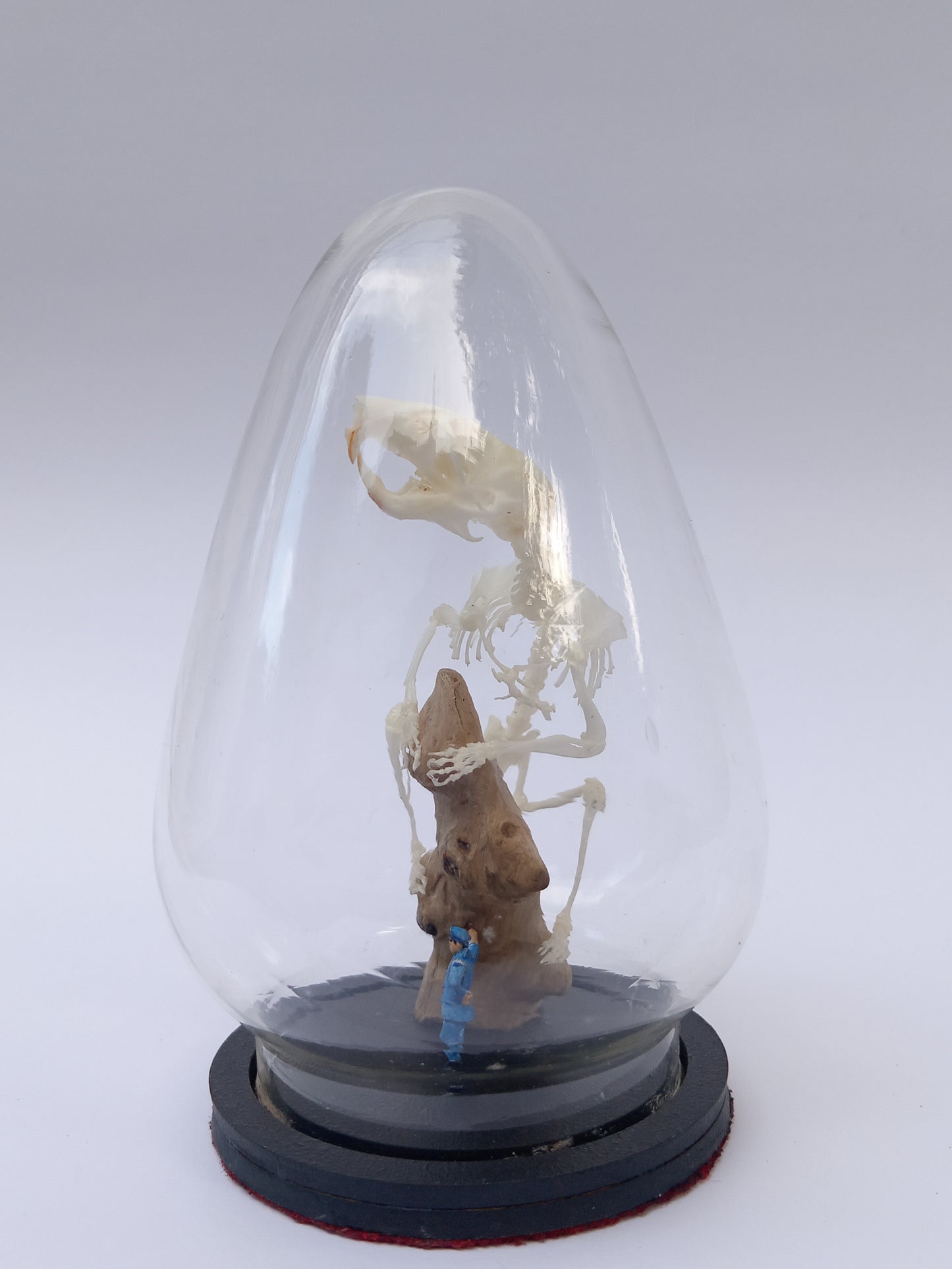 Hamster Diorama
