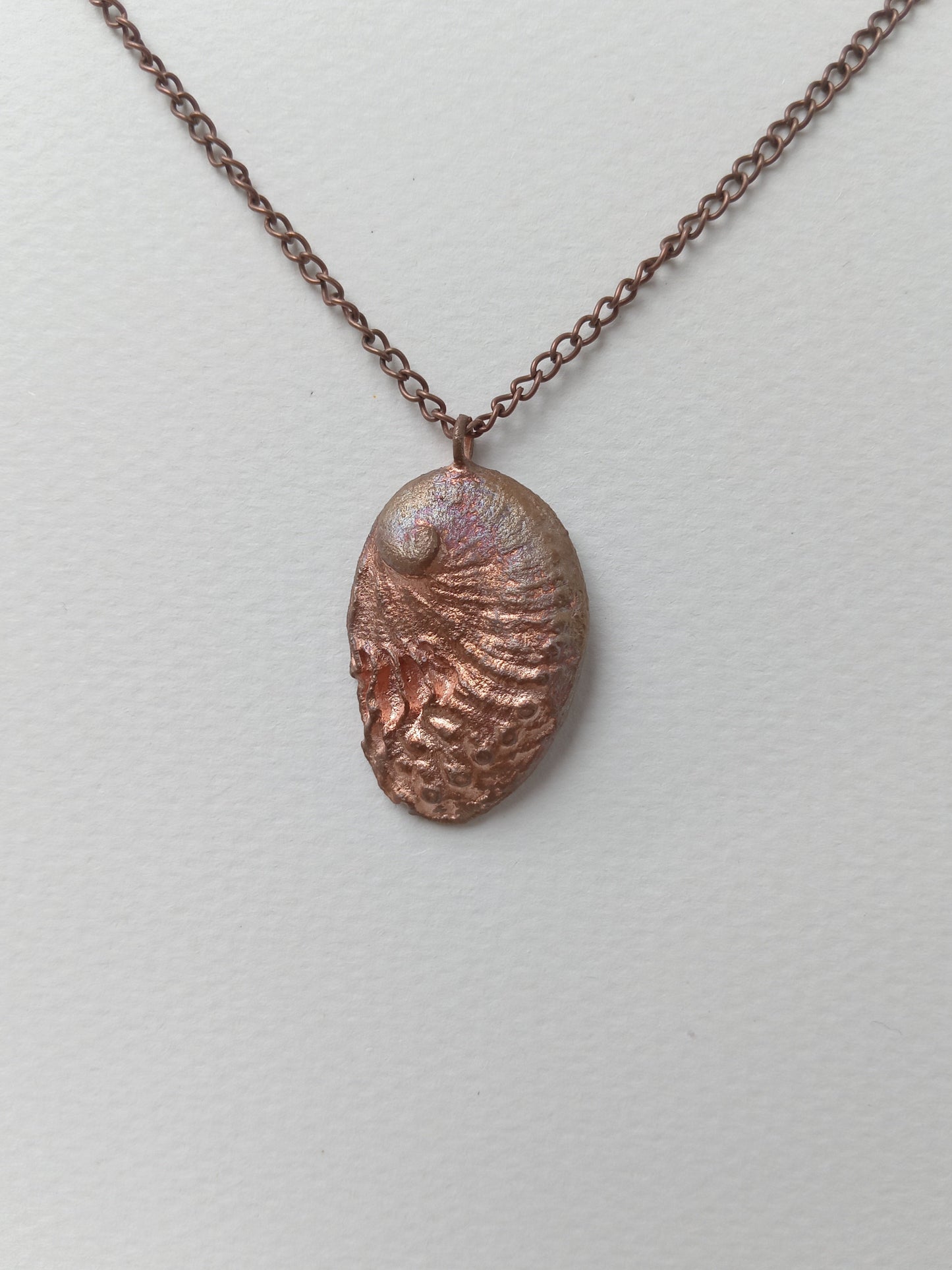 Electroformed Abalone Shell
