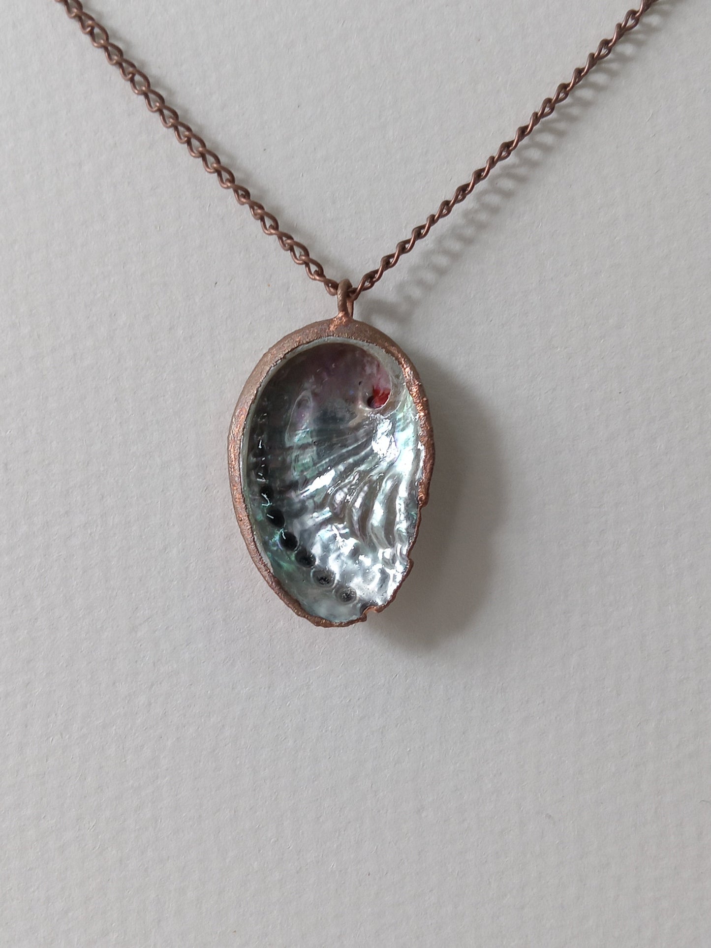 Electroformed Abalone Shell