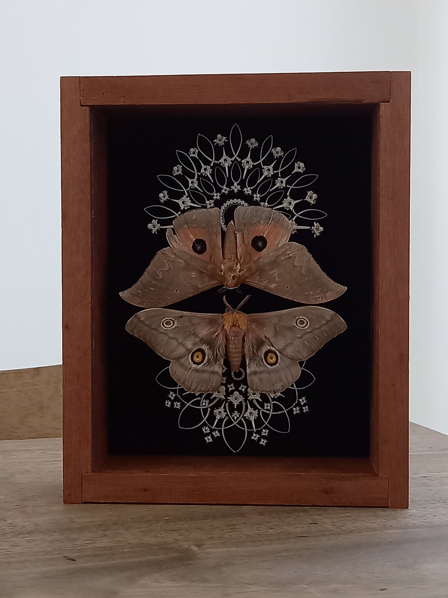 Moth Mandala