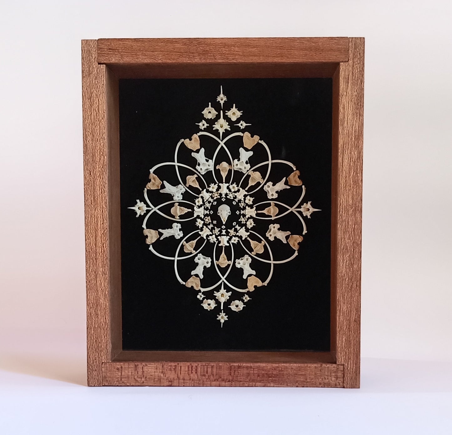 Mouse Mandala