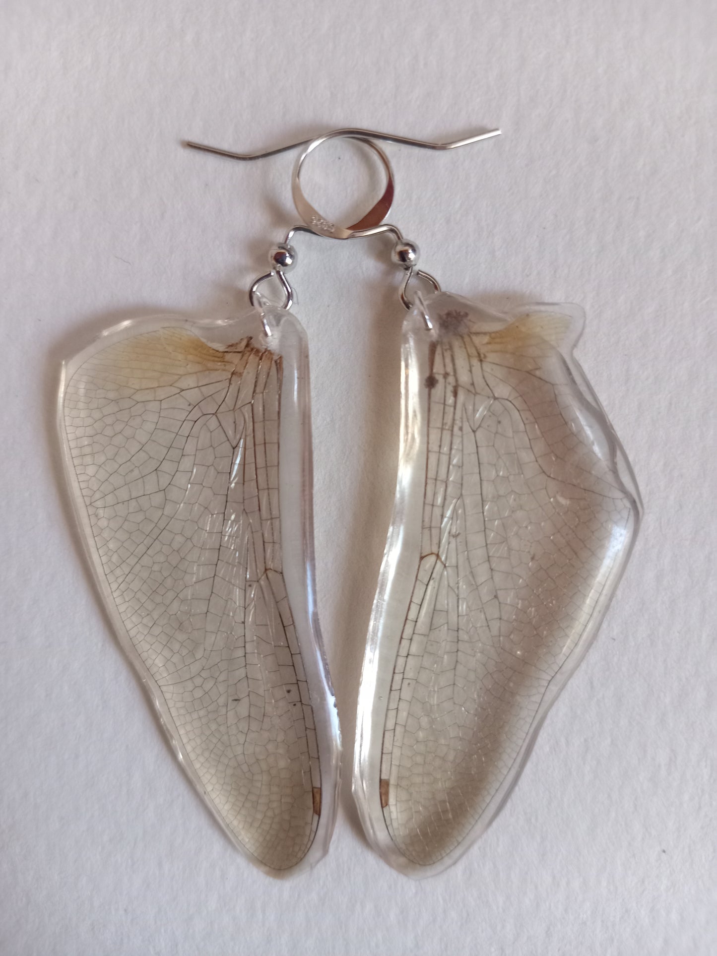 Dragonfly wings