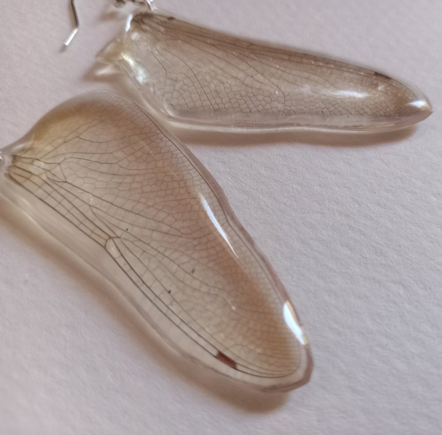 Dragonfly wings