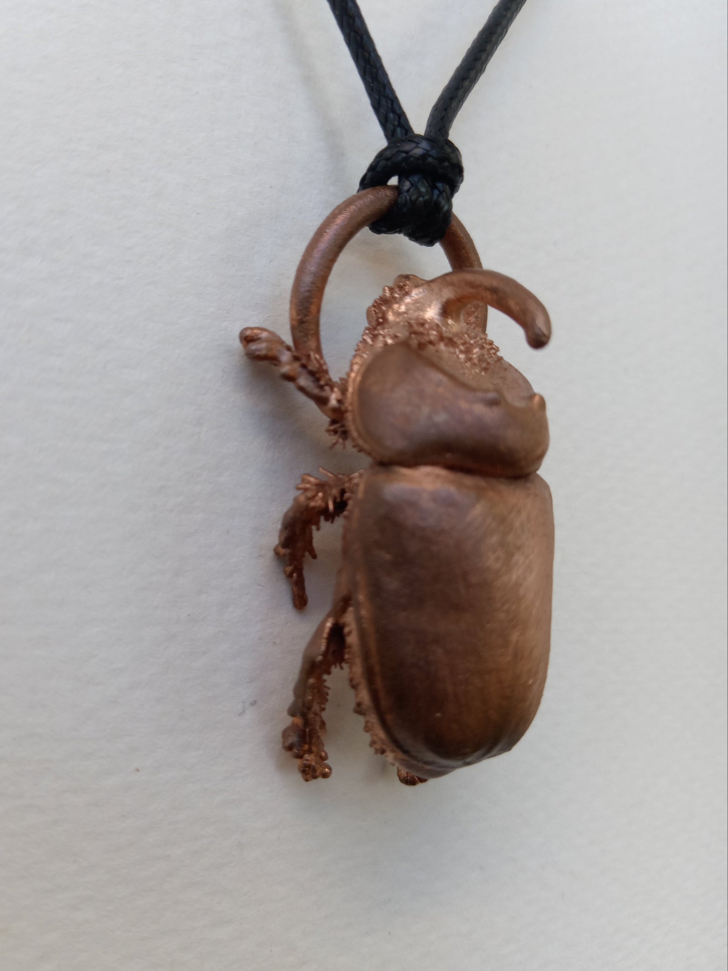 Rhino Beetle