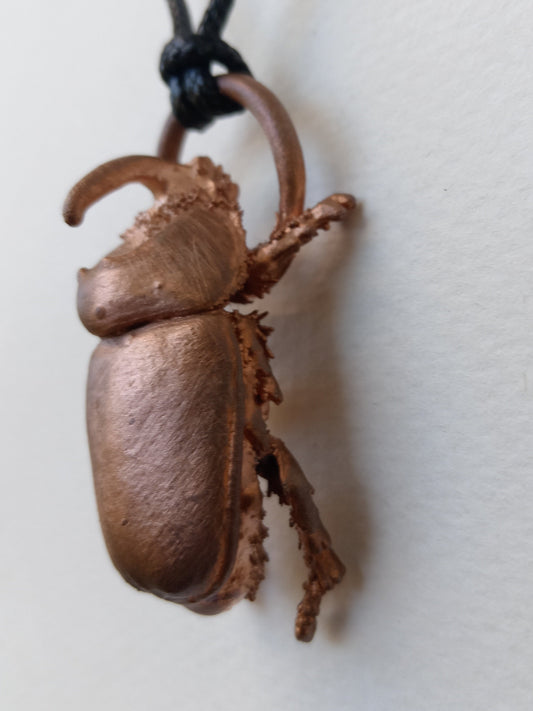 Copper Rhino beetle specimen, ethically sourced found insect, one-of-a-kind nature art, Obscure Art South Africa