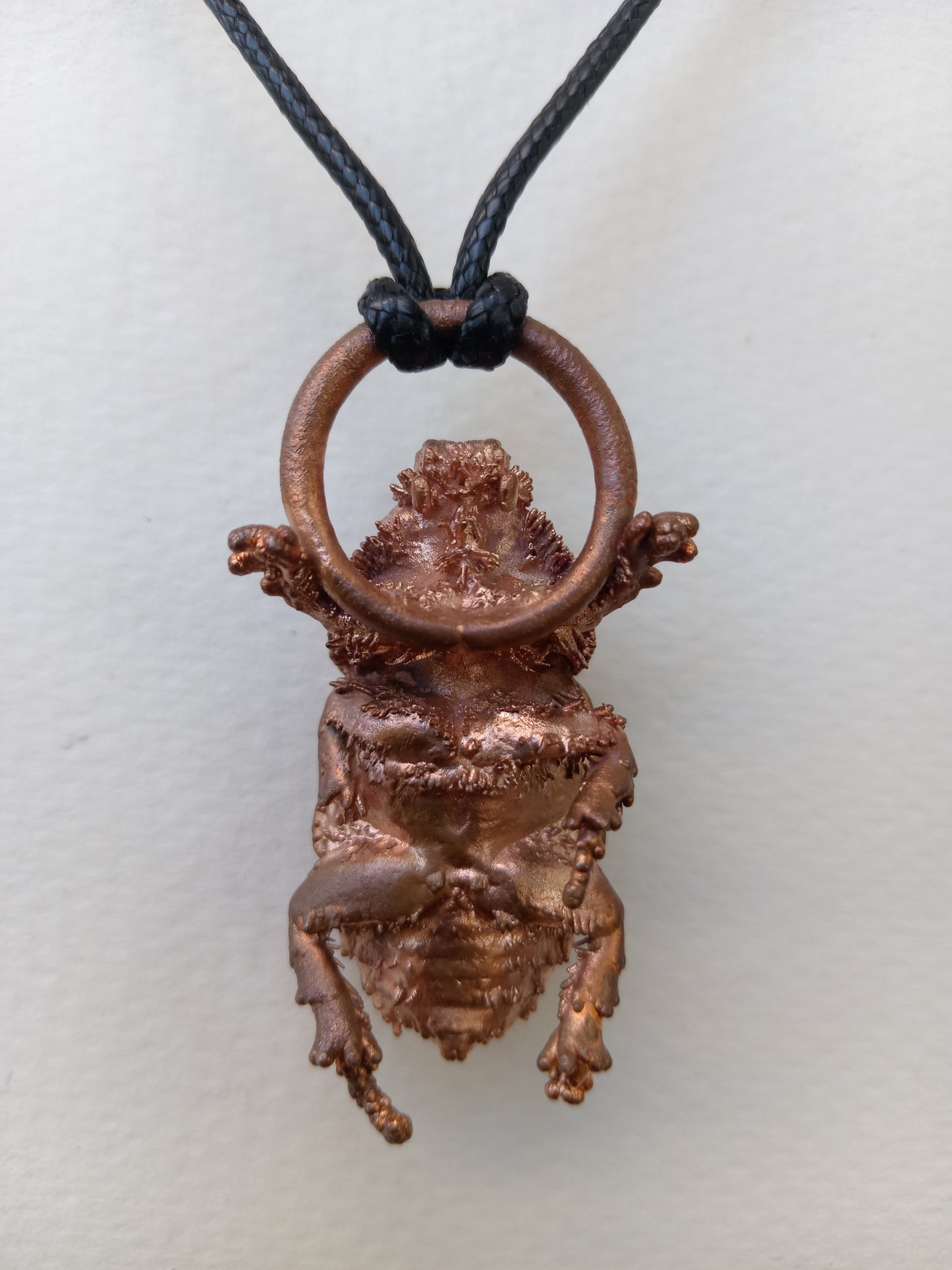 Rhino beetle detail shot, found specimen art, slow-made by Obscure Art
