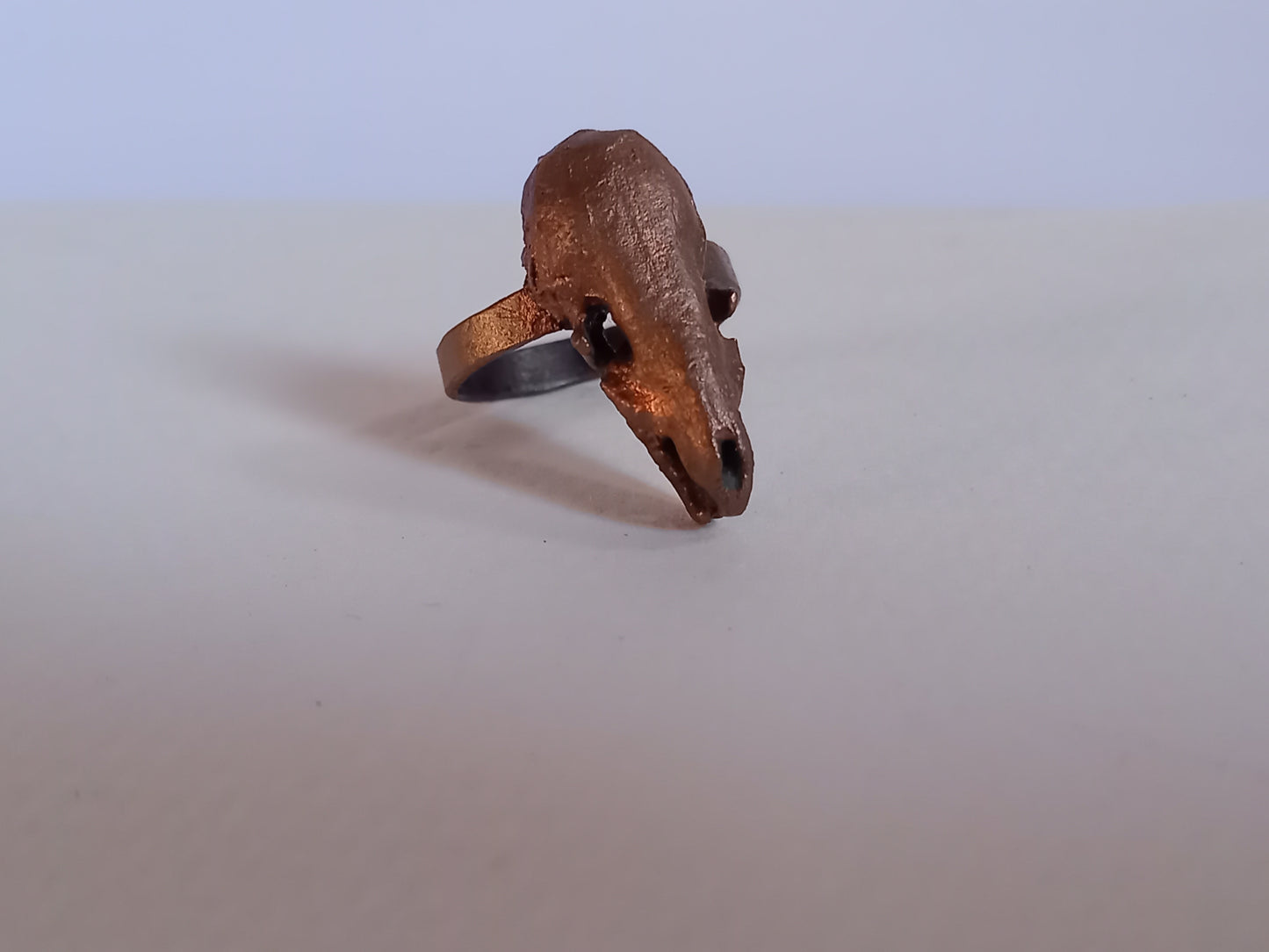 Shrew Skull
