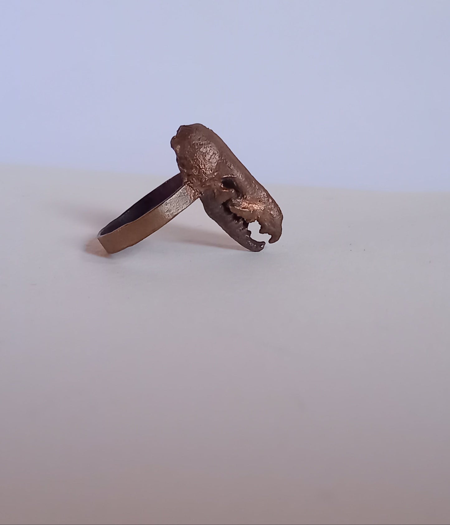 Shrew Skull