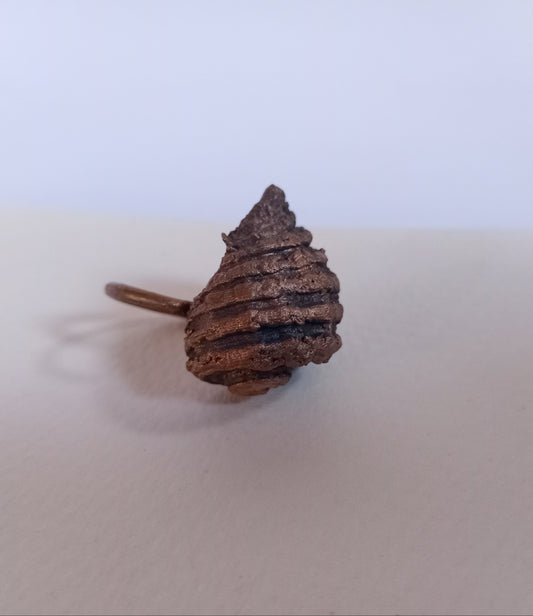 Shell Ring