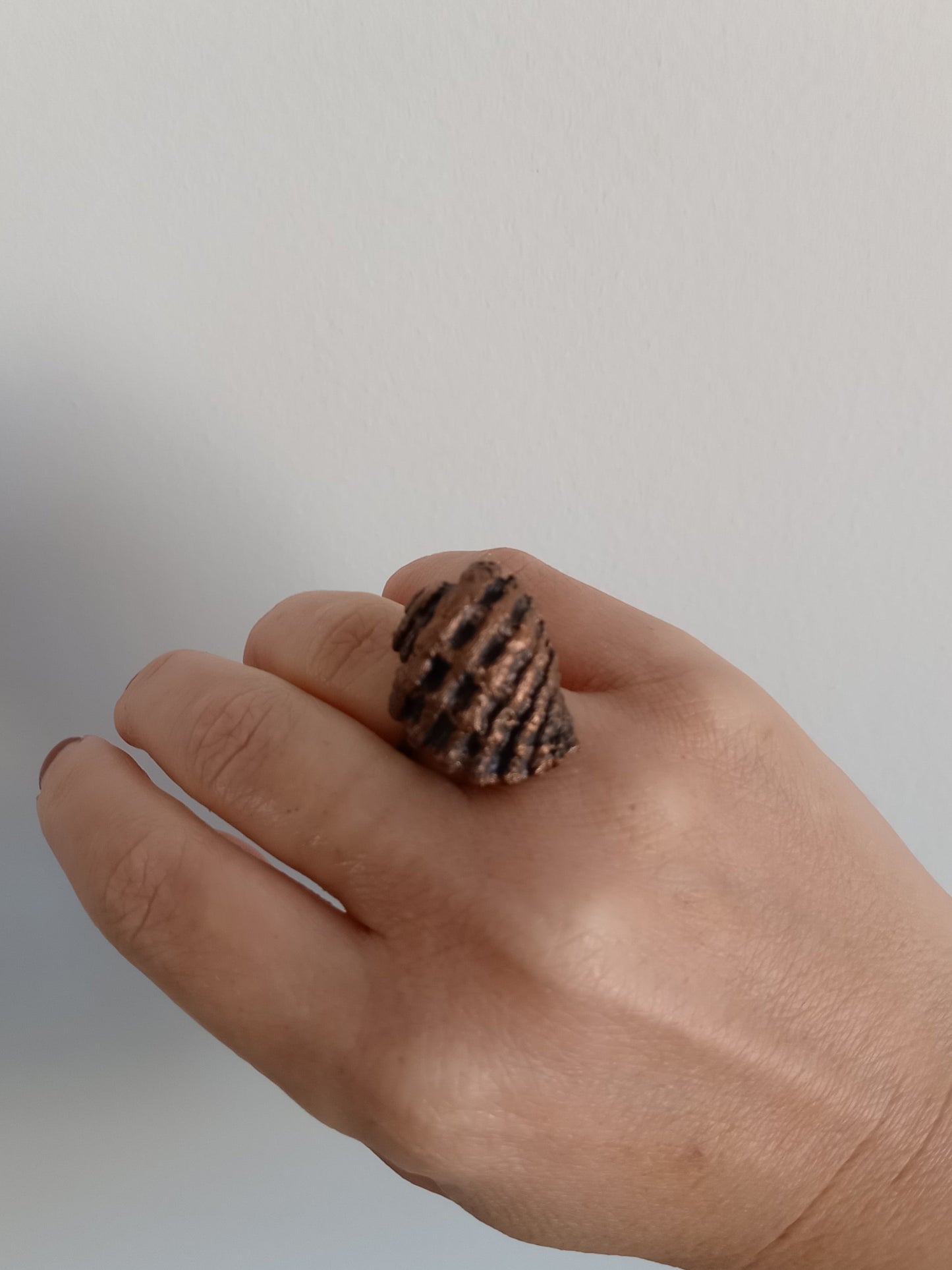 Shell Ring