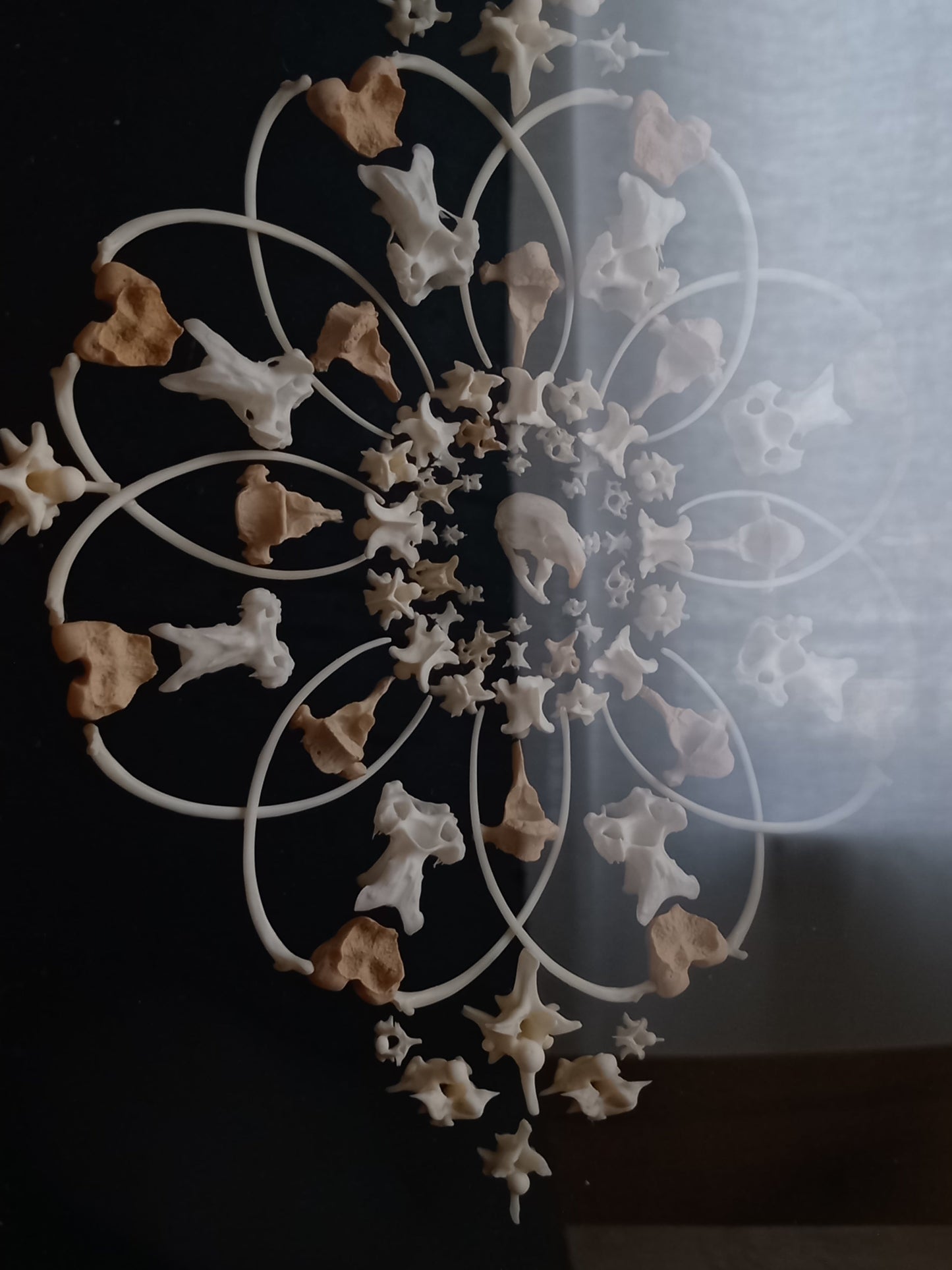 Mouse Mandala