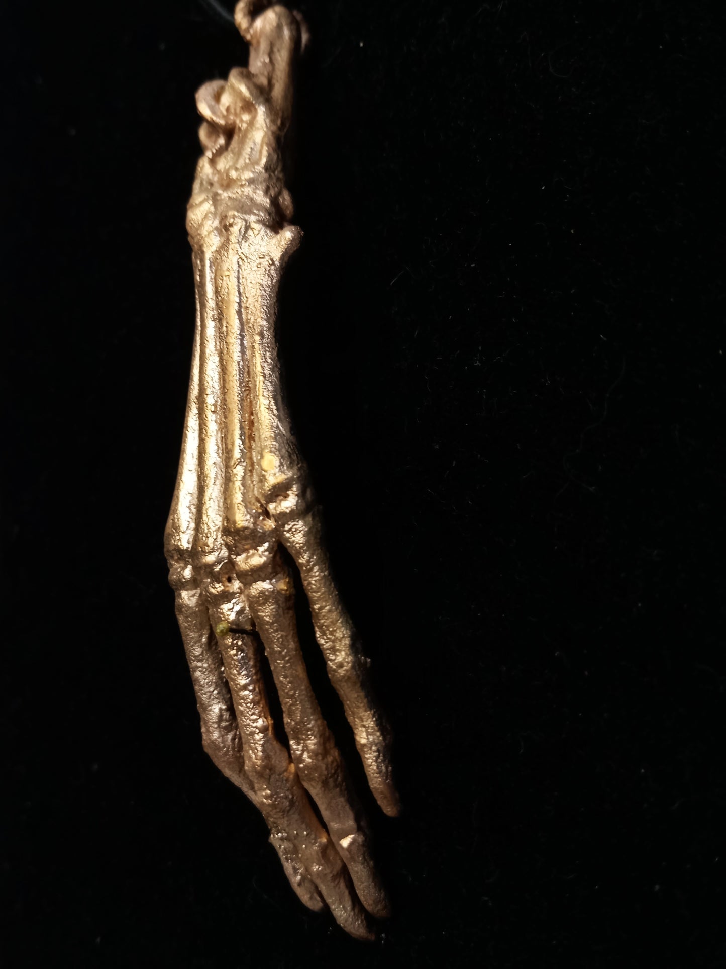Lucky Rabbits Foot