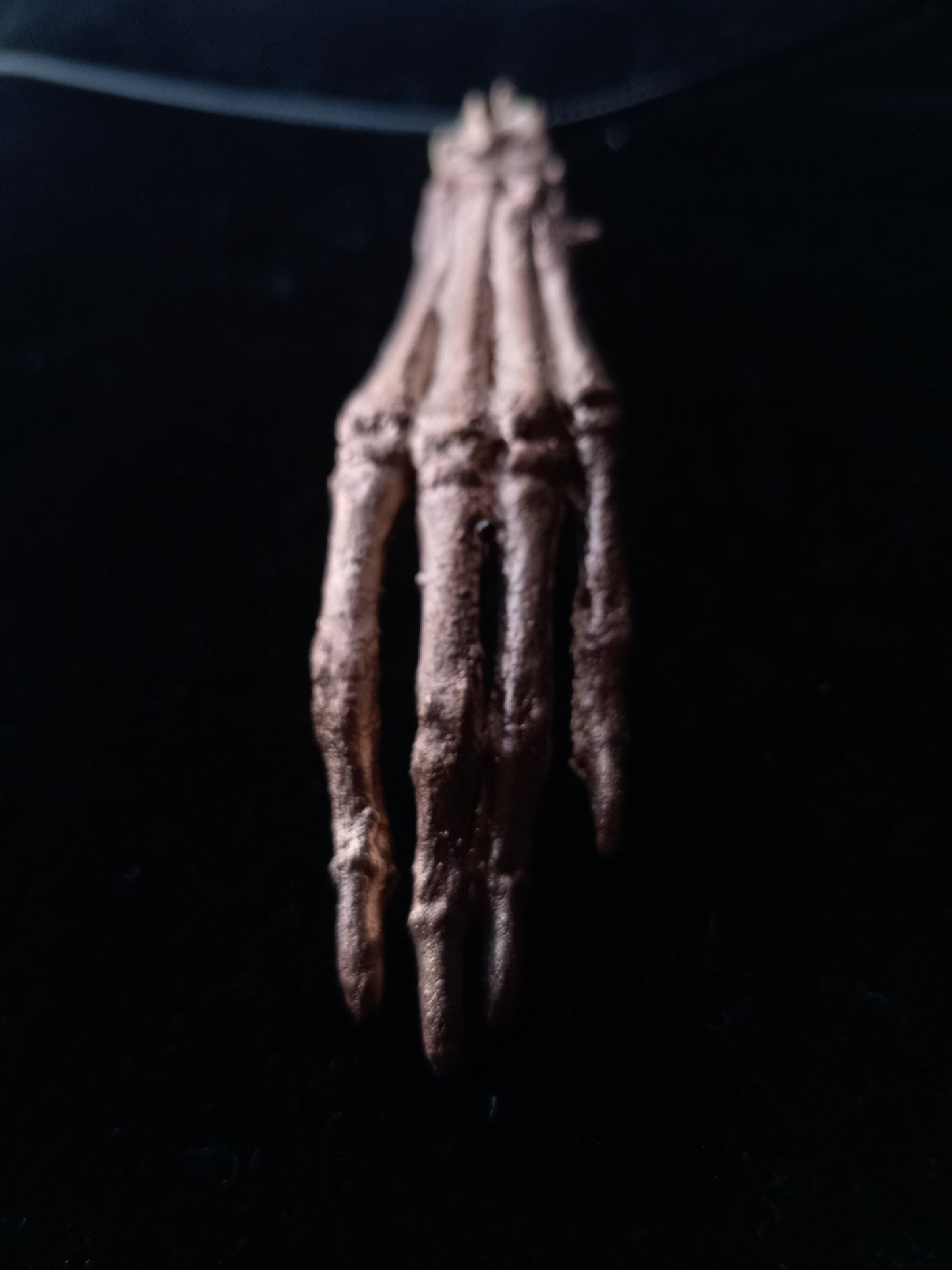 Lucky Rabbits Foot