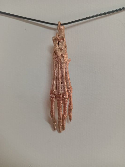 Lucky Rabbits Foot