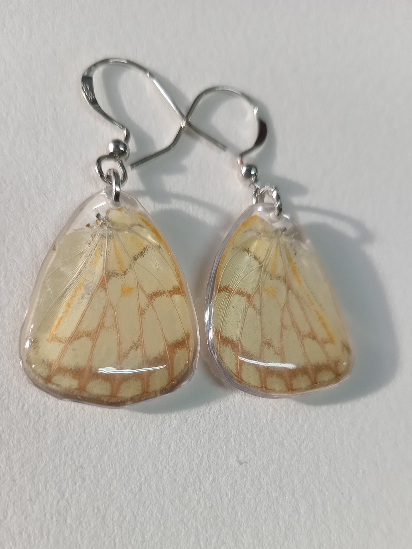 Butterfly wings