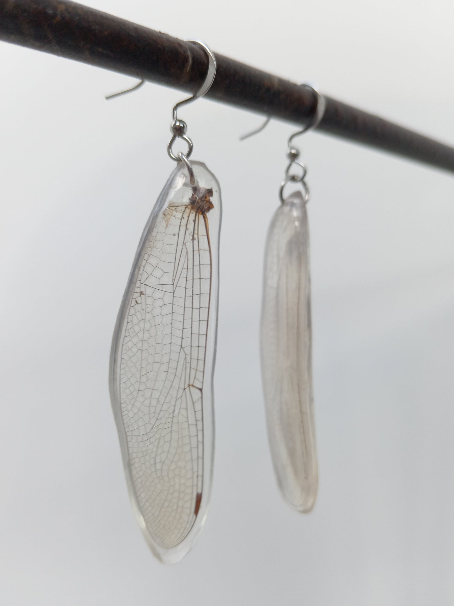 Dragonfly Wings