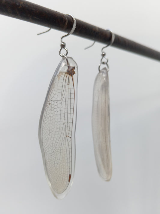 Dragonfly Wings