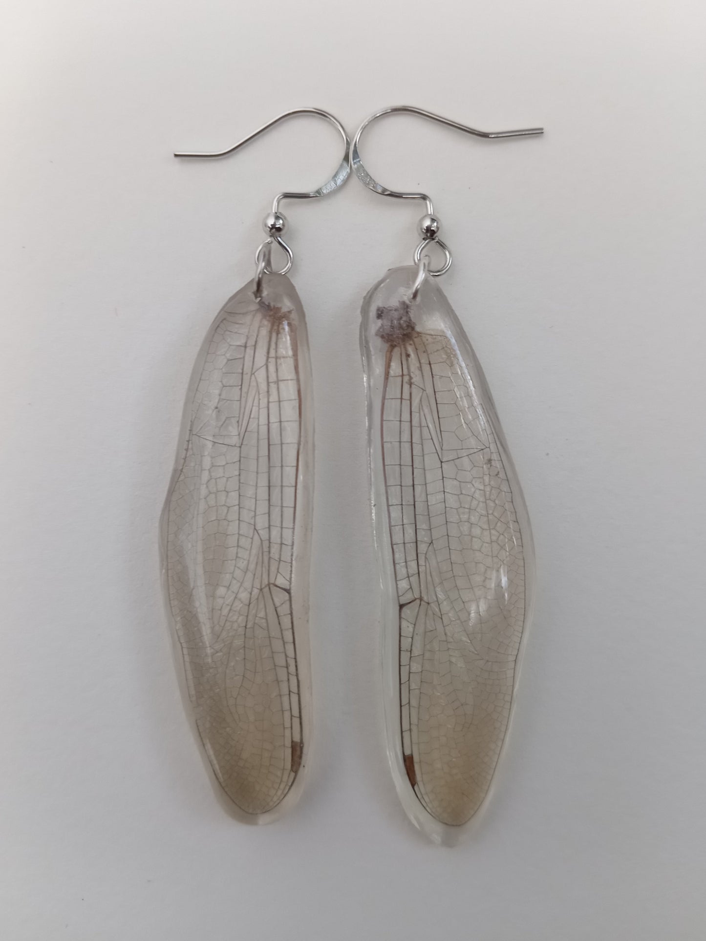 Dragonfly Wings