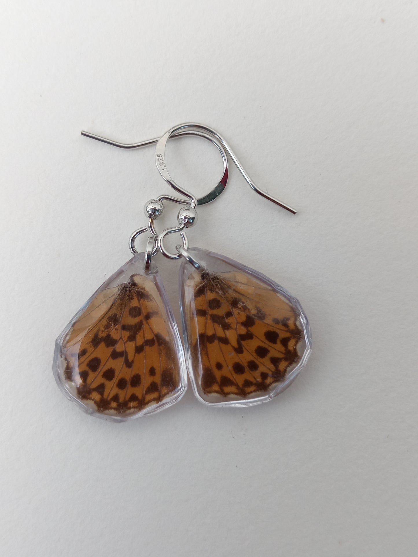 Butterfly wings