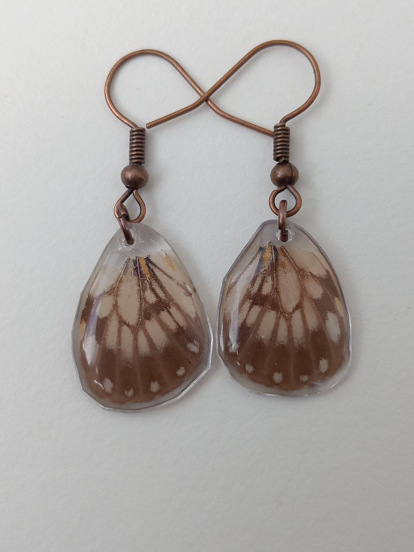 Butterfly wings