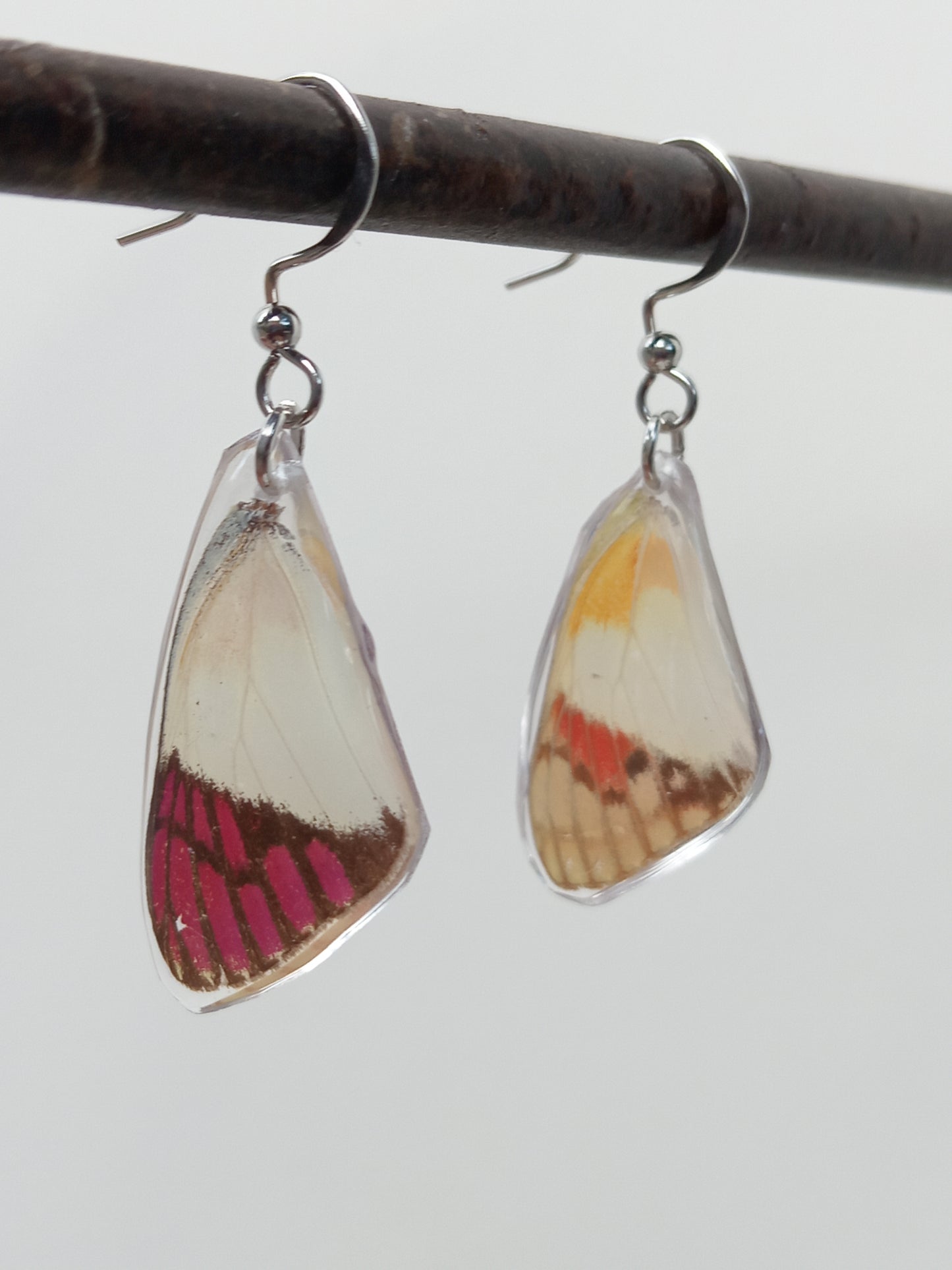 Butterfly wings