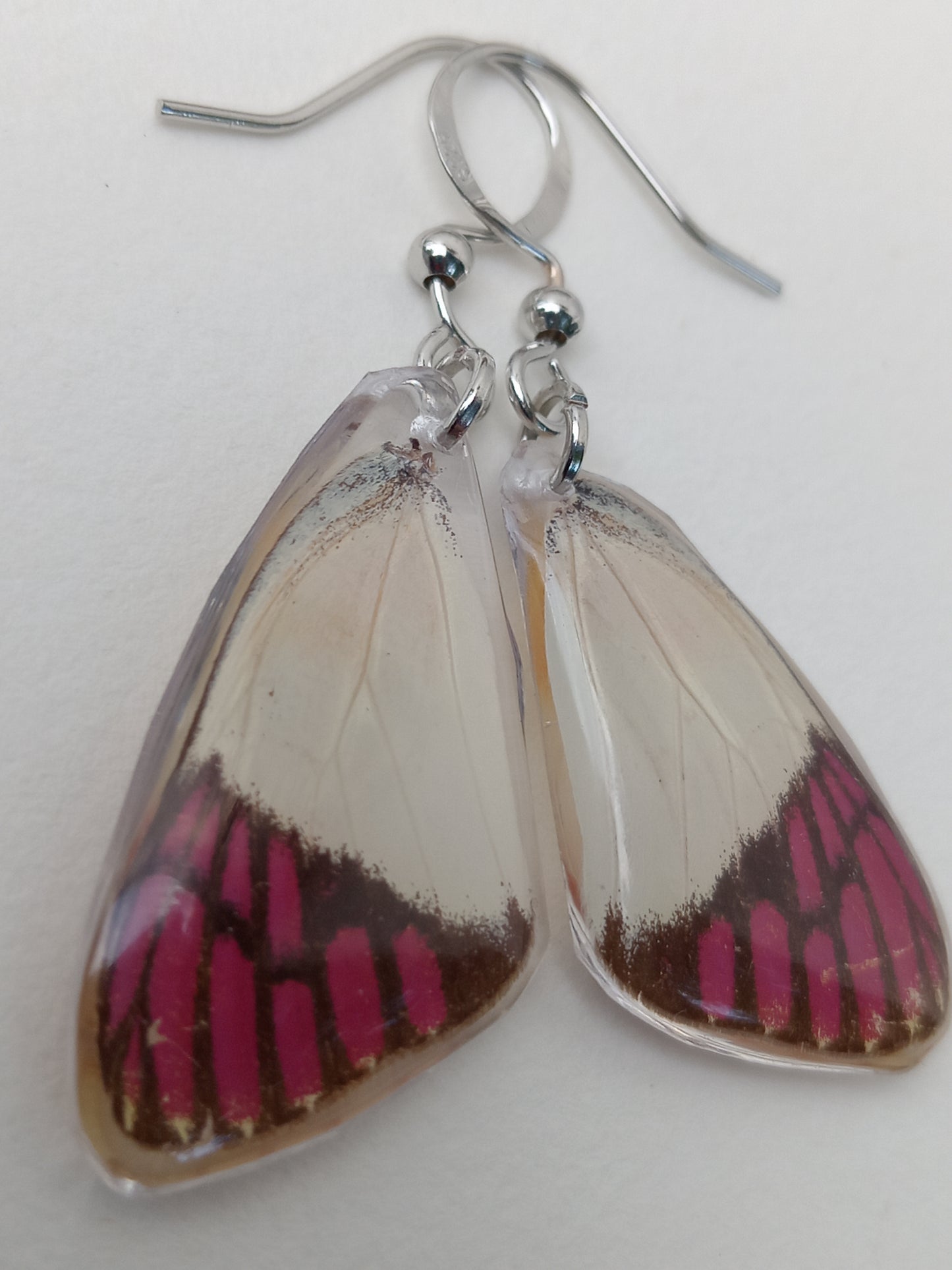 Butterfly wings