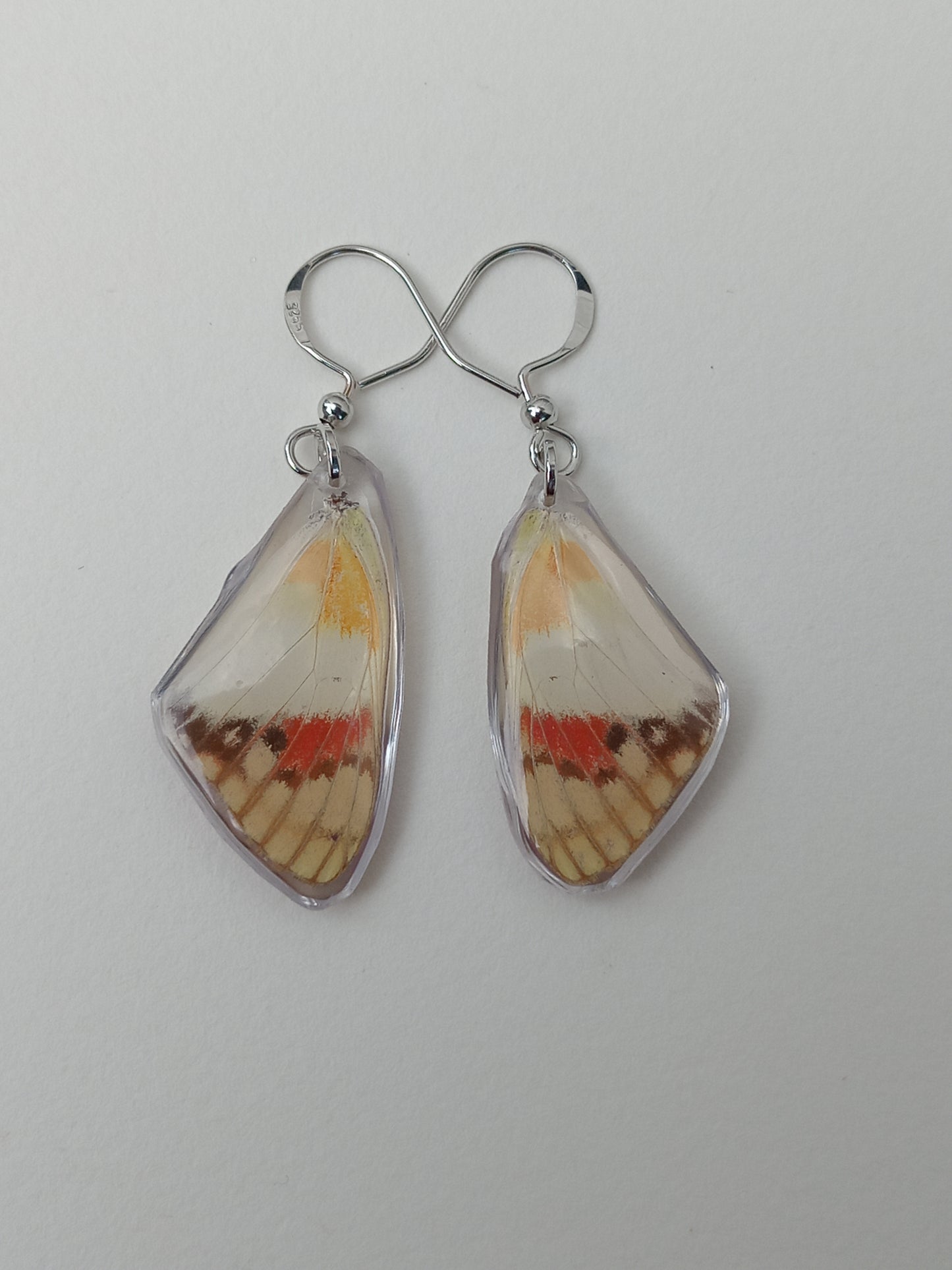 Butterfly wings