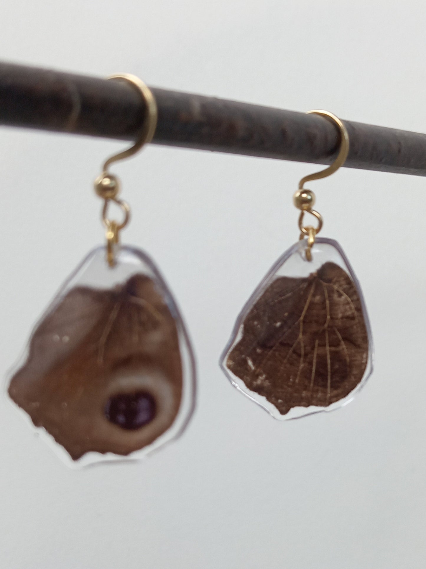 Butterfly wings