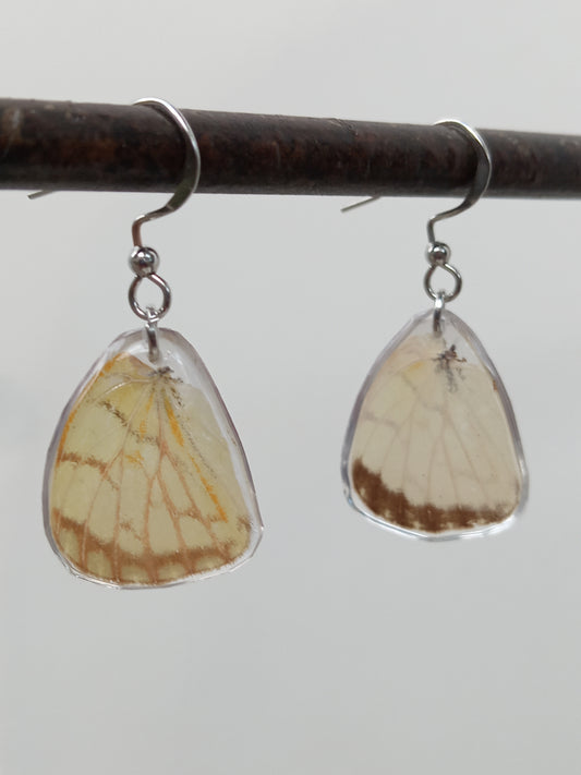 Butterfly wings