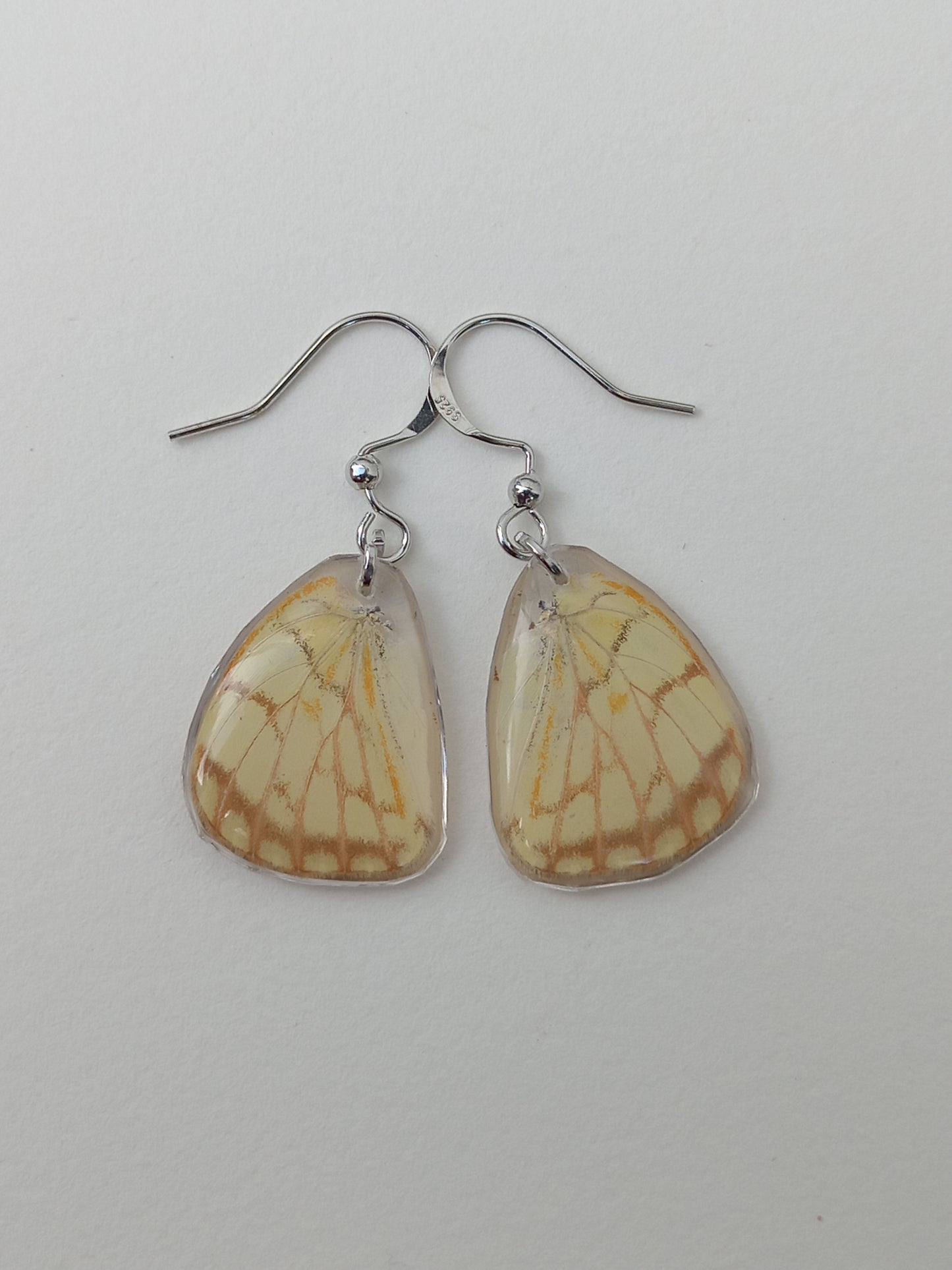 Butterfly wings