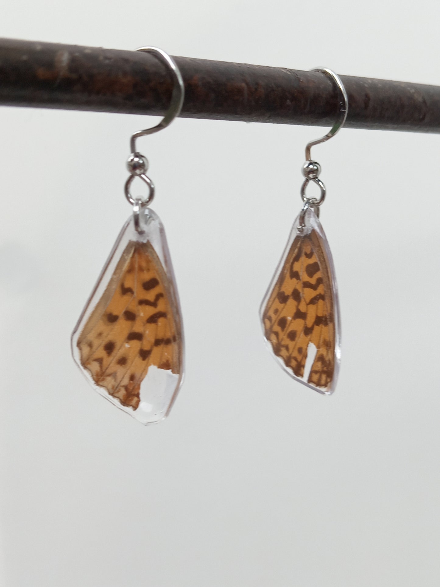 Butterfly wings