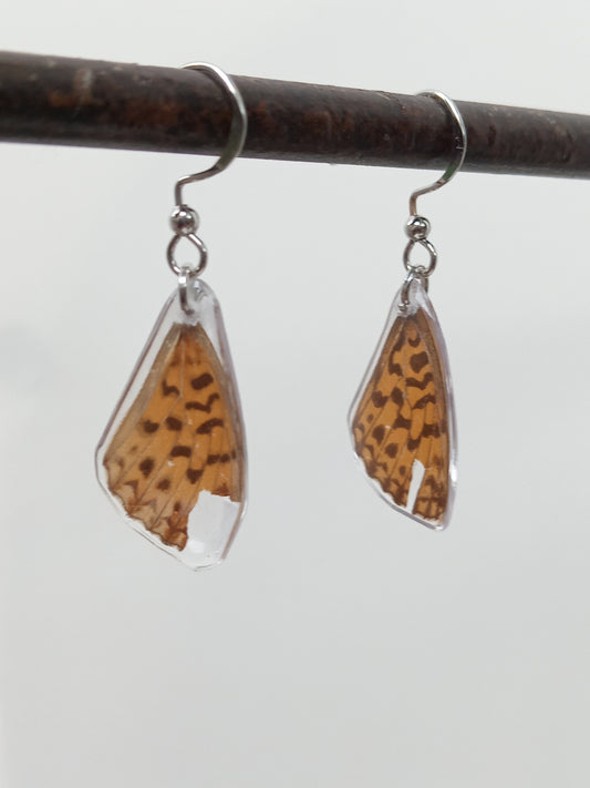 Butterfly wings