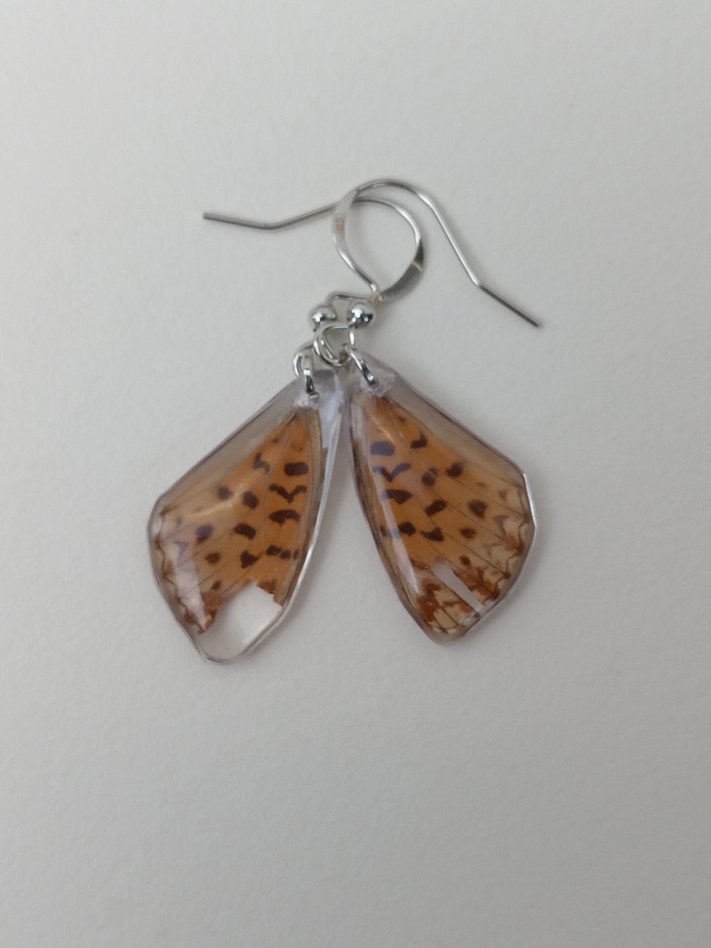 Butterfly wings