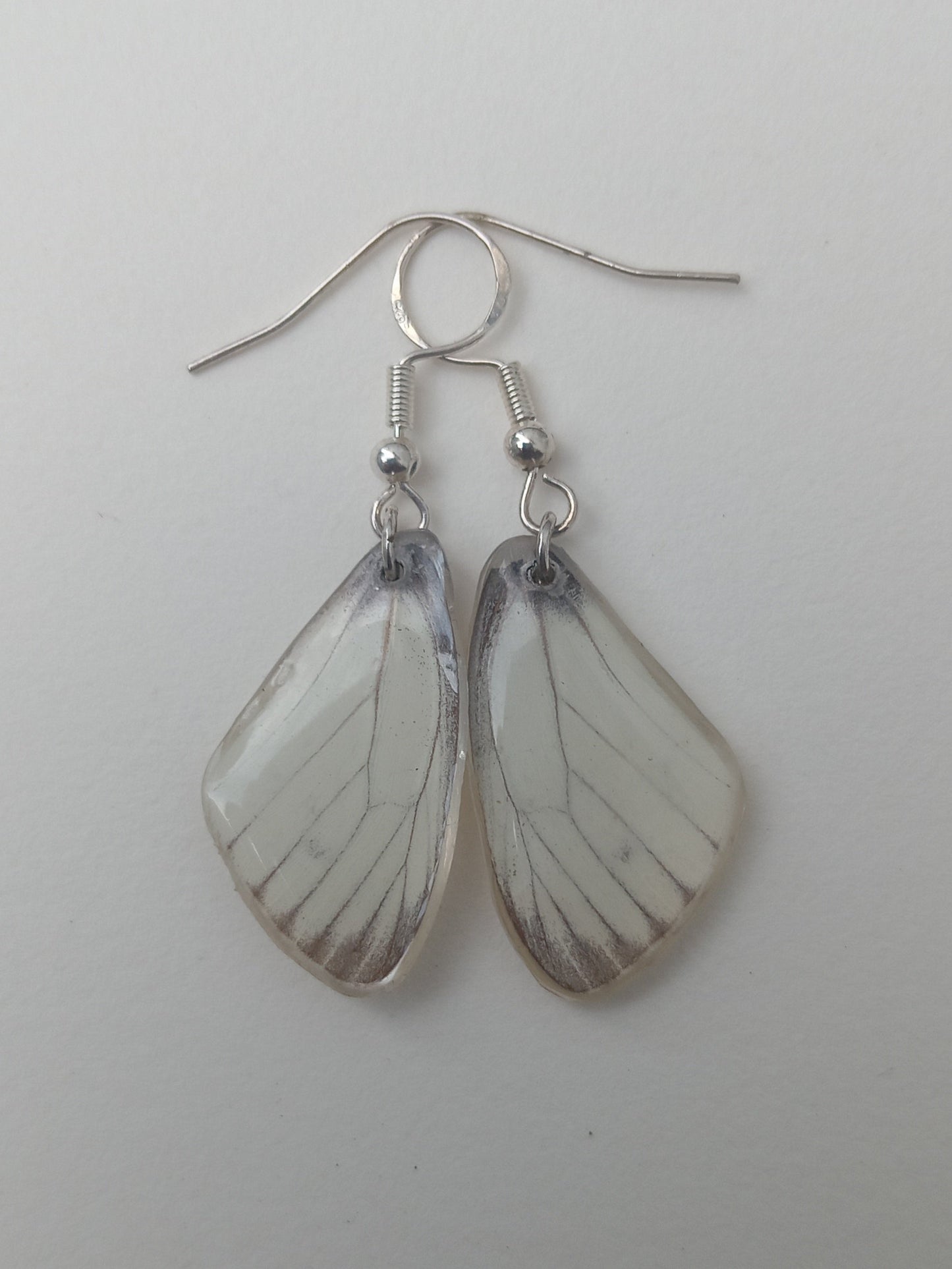 Butterfly wing