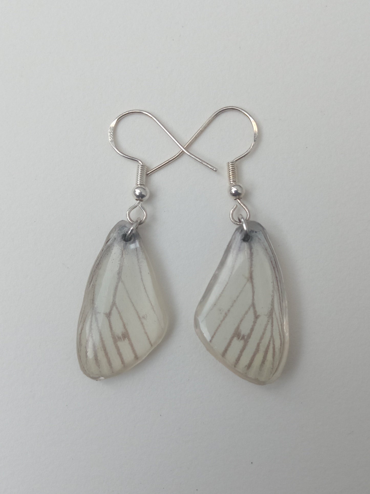 Butterfly wing