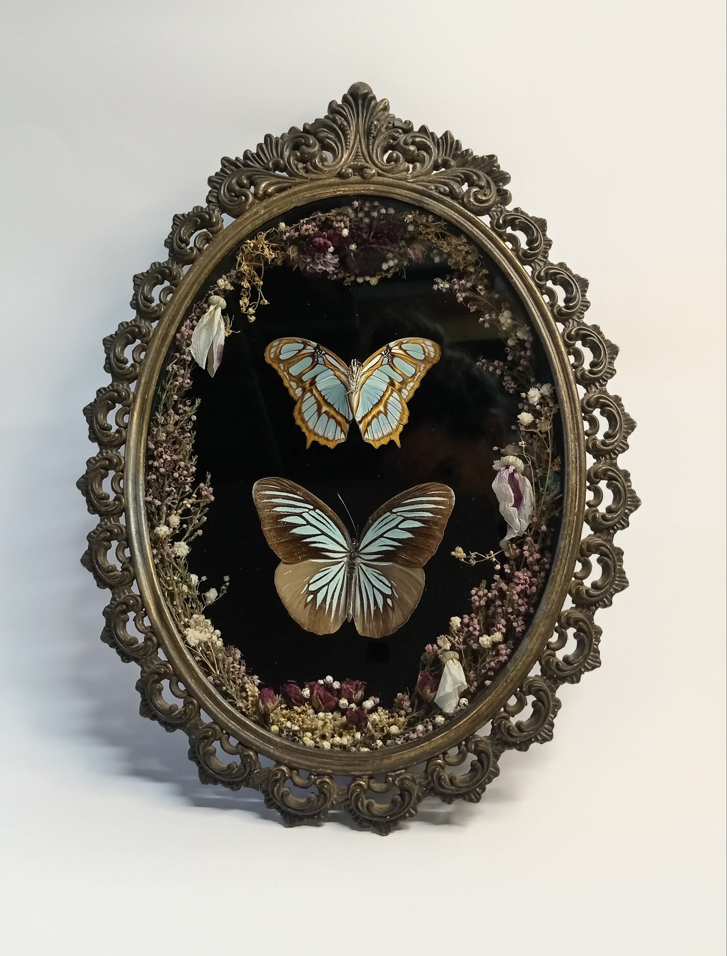 Framed Butterflies in Vintage Frame