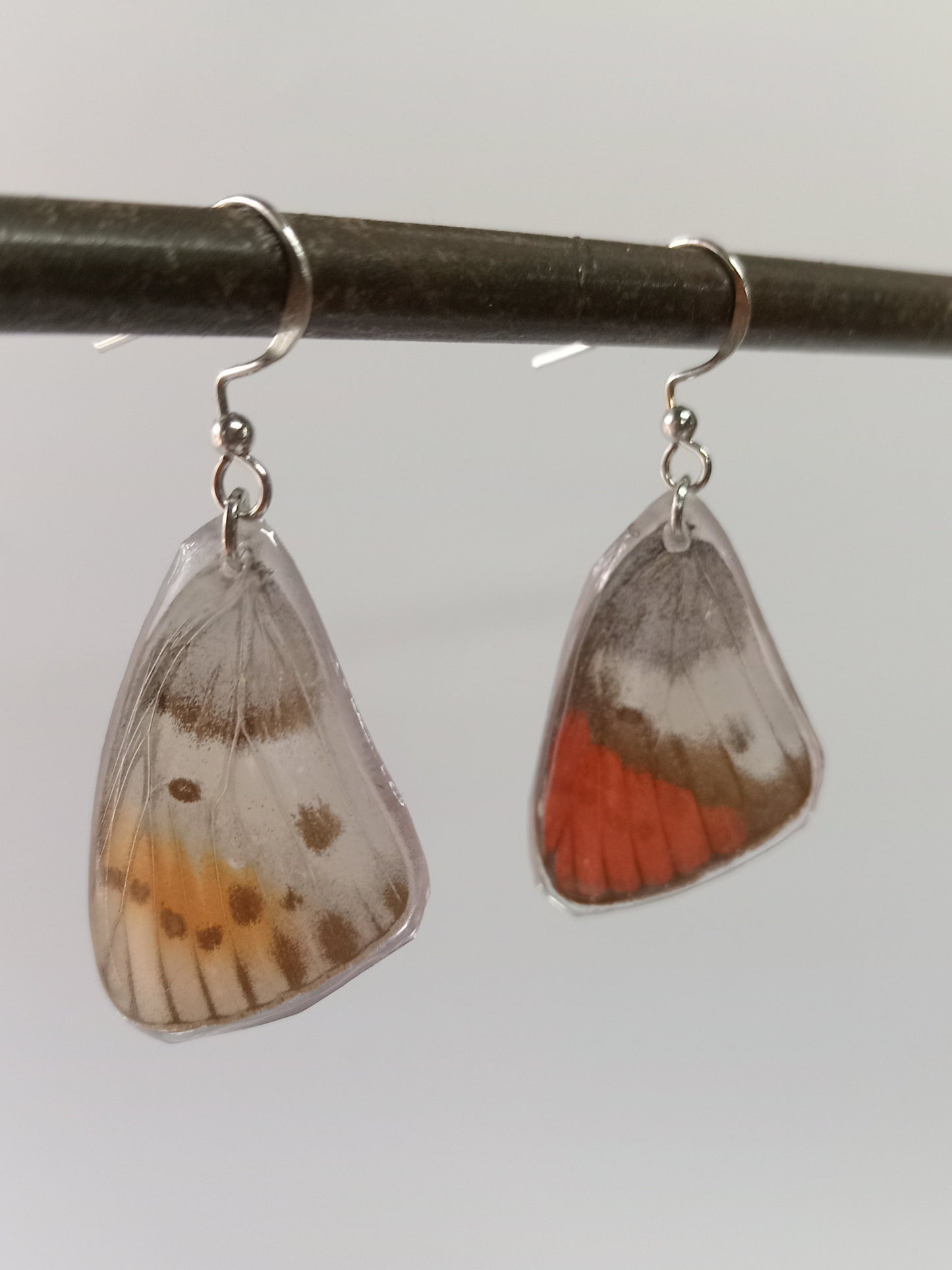 Butterfly wings