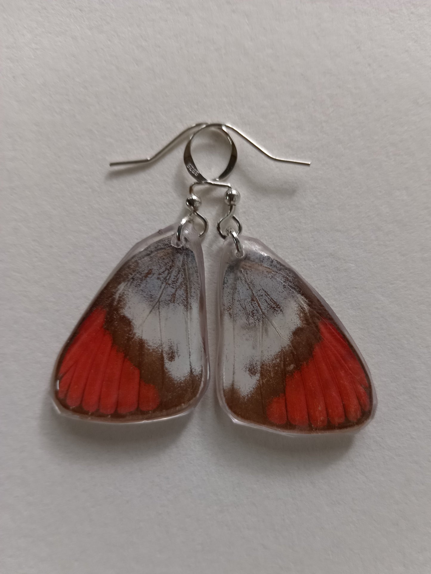 Butterfly wings