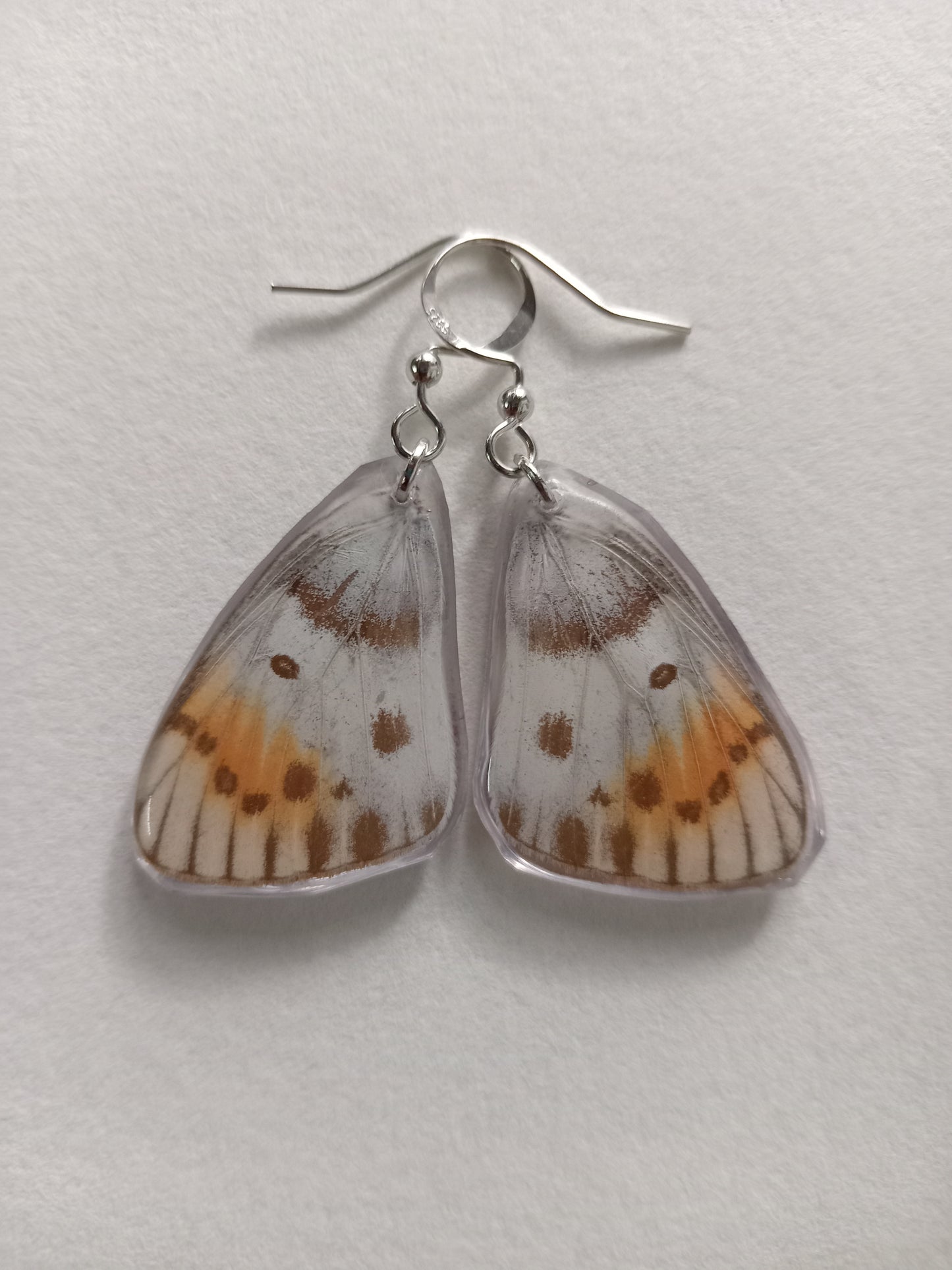 Butterfly wings