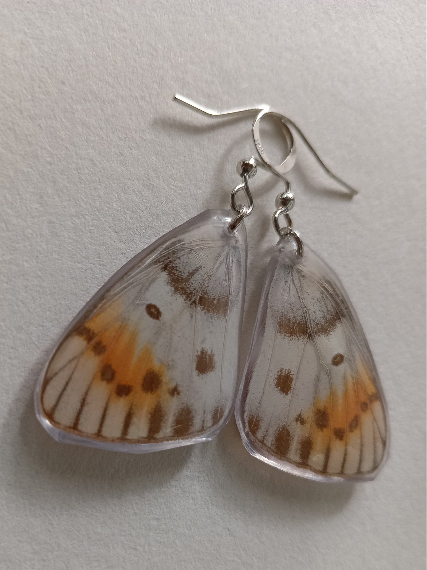 Butterfly wings