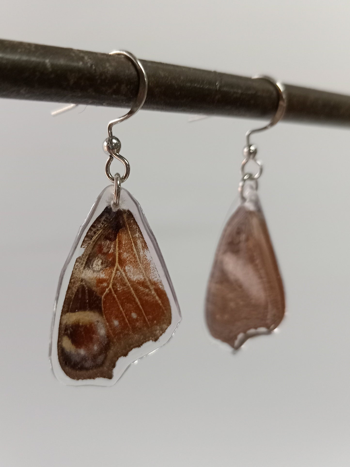 Butterfly wings