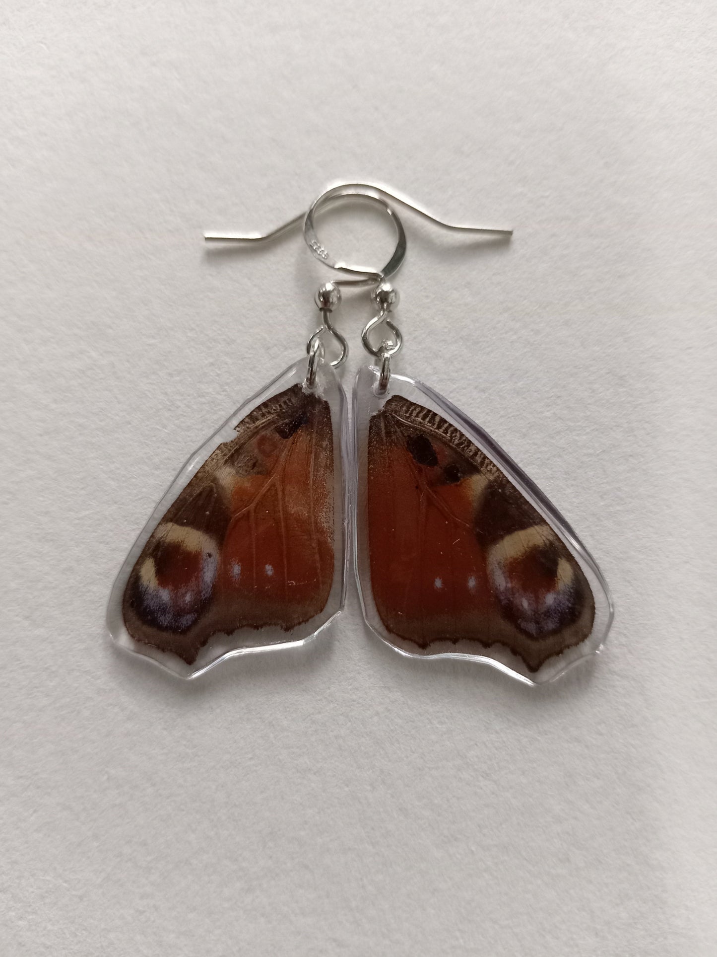 Butterfly wings