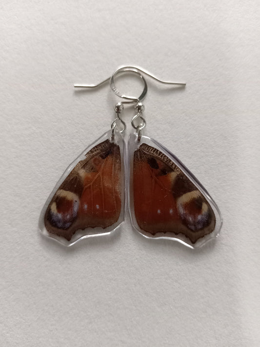 Butterfly wings