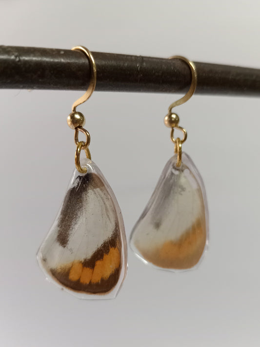 Butterfly earrings