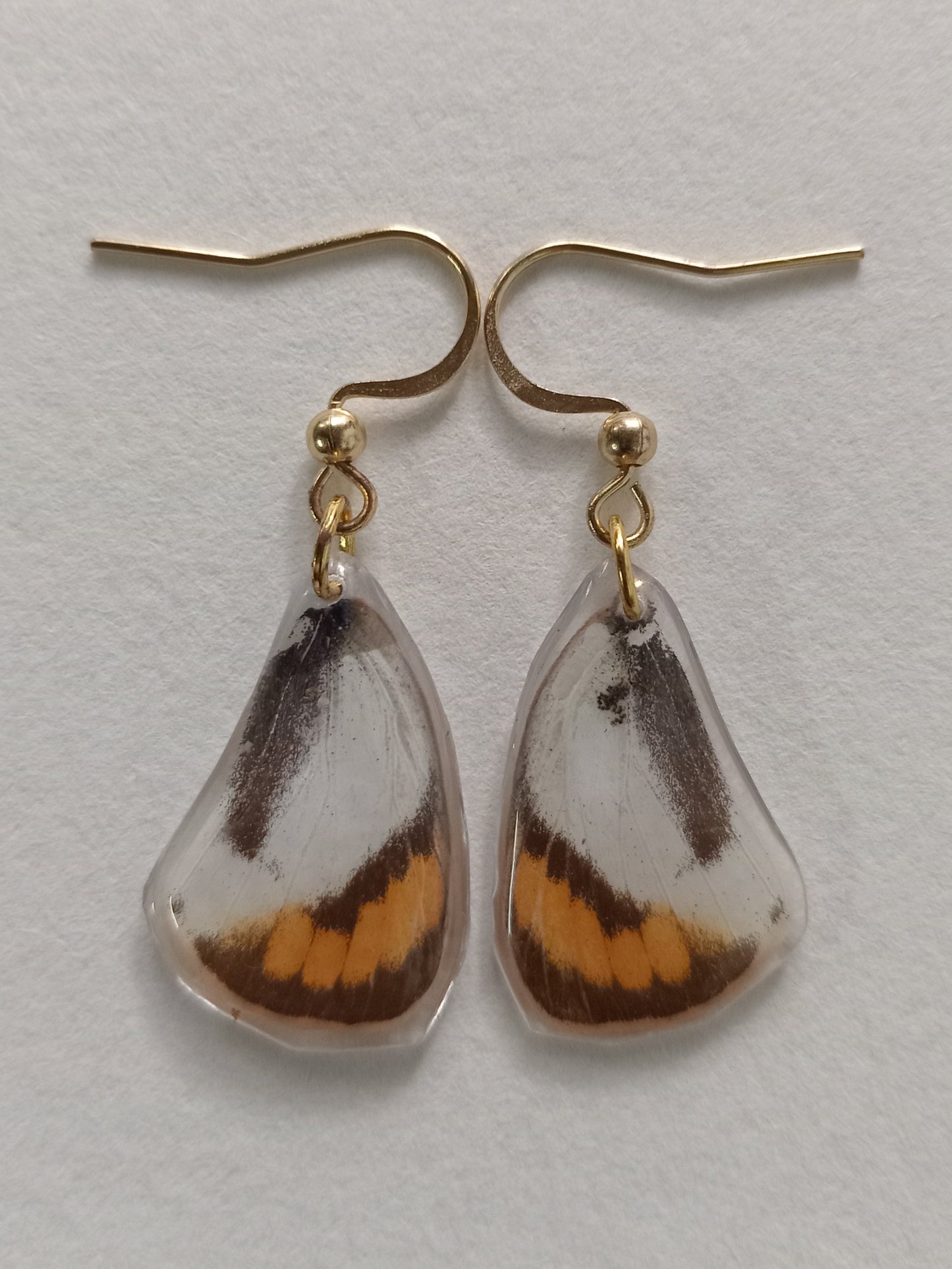 Butterfly earrings