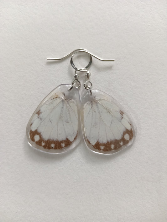 Butterfly earrings