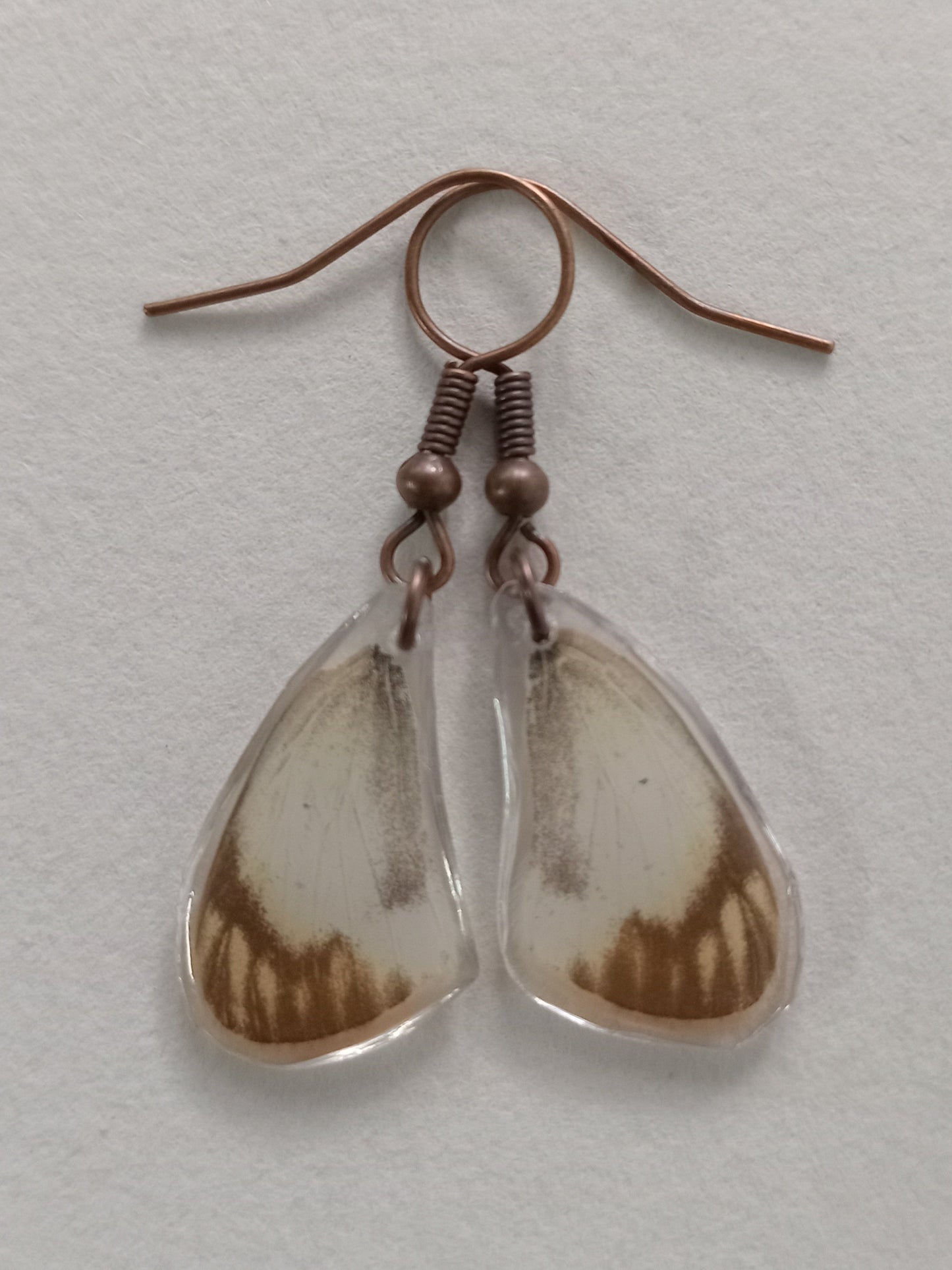 Butterfly wings