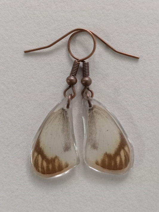 Butterfly wings