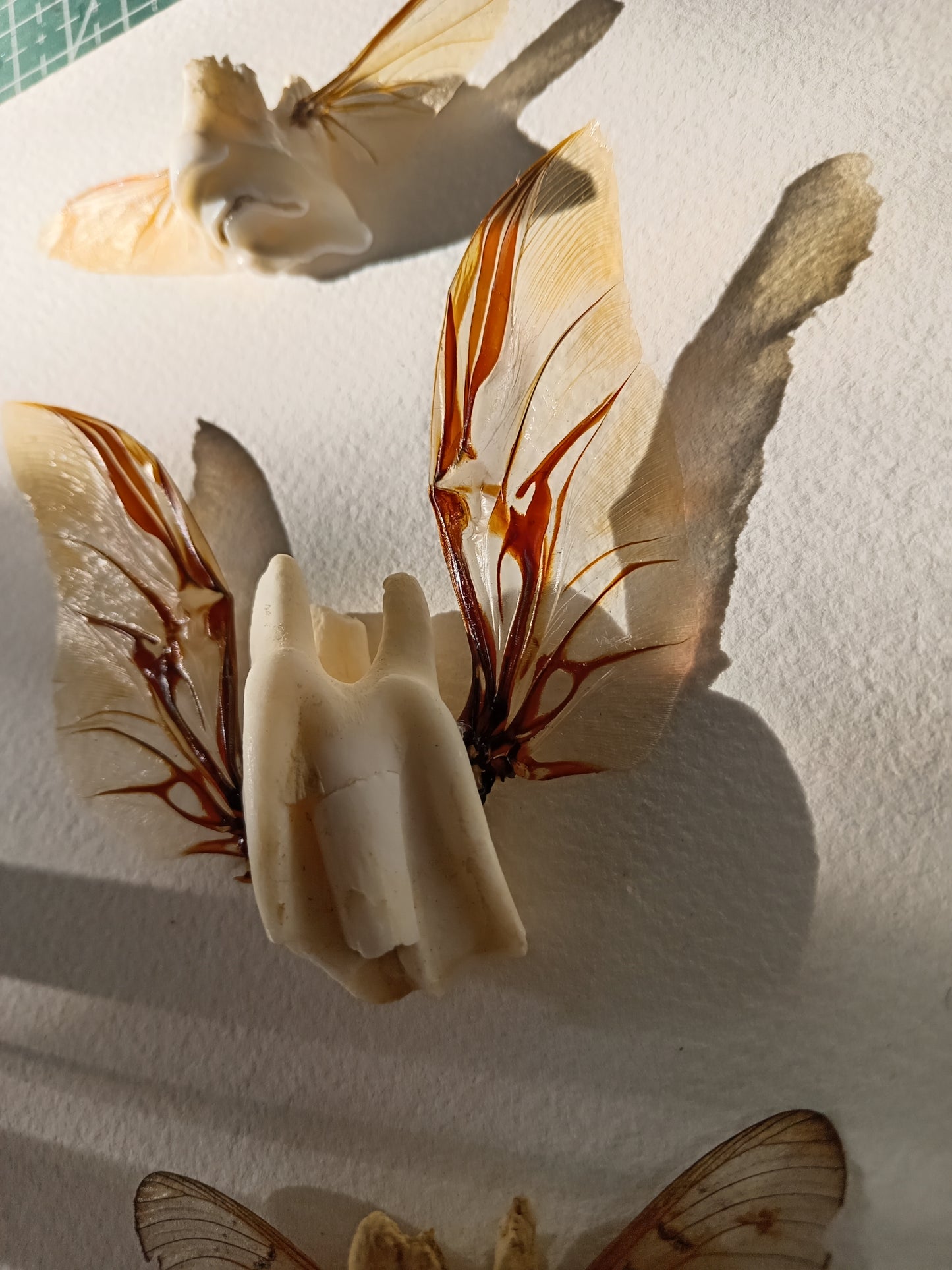 Tooth fairies 4