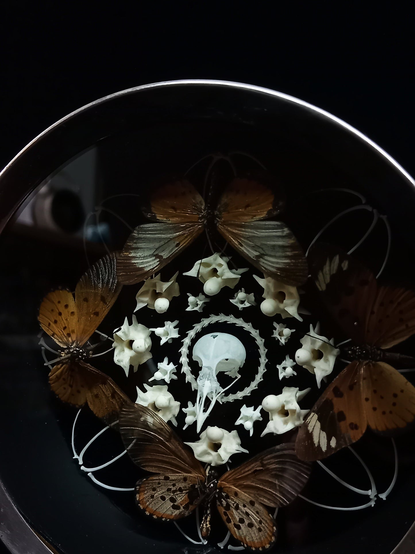 Bone and Butterfly in Vintage Clock
